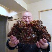 活カニの花咲 - 