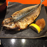 魚竹 - 
