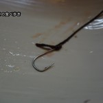 かぶと - 見せて頂いた”針”