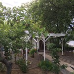 アップルファーム - 