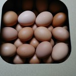 ウフウフガーデン - 