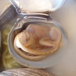 漁師食堂 仙台港 順海 - アマガイラーメンセット888円