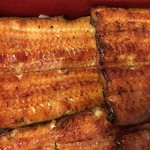 鰻はし本 - うな重 は