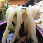 手打ちうどんますや - 水〆された太麺の食感、バッチリやね～♬