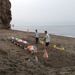 うなぎの美鶴 - 