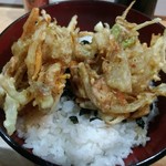 Ten Hiro - 2017.06かき揚げ丼（680円）