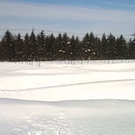 くるるの杜 農村レストラン - 【2011年01月】畑も雪に埋まってます（１ｍ以上埋まってる（泣））。