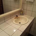 自家焙煎珈琲 蘭館 - 手洗い器