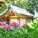Chuugokuryouri Saikai - 紫陽花園(｡･ω･｡)ﾉ♡