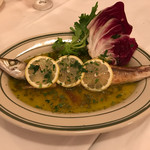 バンデルオーラ - 