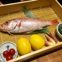 のどぐろ専門 銀座 中俣 - 