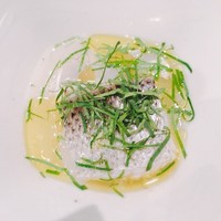 SALONE 2007 - 2017.6.  Filosofia/哲学 鮮魚・タコ・ハマグリ