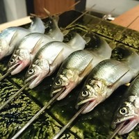 二条城ふる田 - 