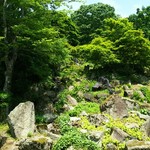 江戸千家流 御茶室 清泰庵 - 