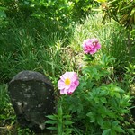 江戸千家流 御茶室 清泰庵 - 