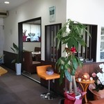 Cafe de Lys blanc. - 