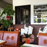 Cafe de Lys blanc. - 
