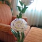 AVANI HAI PHONG HARBOUR VIEW - 