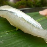 栄寿司 - サヨリ（2011年1月29日）