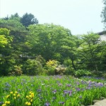 江戸千家流 御茶室 清泰庵 - 