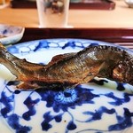 松川 - 鮎アップ