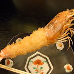 莫莫 - 活車海老