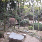 蕎麦 阿き津 - 窓から眺めるお庭　（早春）