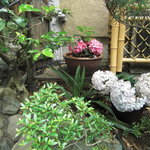 蕎麦 阿き津 - 玄関周辺　（梅雨）