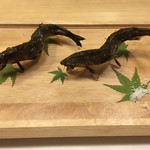 旬菜 おぐら家 - 天然鮎の炭火焼き