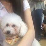 保護犬カフェ®︎ - 