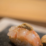 鮨 猪股 - 棘藻蝦（をにえび、=いばらもえび）