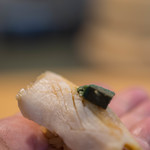 鮨 猪股 - 鰒（あはび）