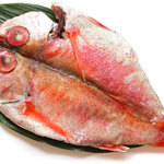 ひもの専門店 平田屋 - のどぐろ。白身魚の「トロ」とも言われる幻の高級魚。
口の中に広がる上質な脂、うす塩干しで仕上げたこだわりの逸品です。