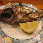 こづち - 本メバル塩焼き。