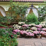 リストランテASO - 