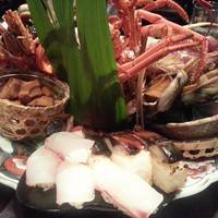 土佐料理 祢保希 新宿店 - 