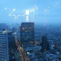土佐料理 祢保希 新宿店 - 
