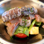 ドディチ・マッジョ - 