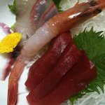 鳥恵 - 鳥恵●刺身0220