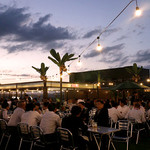 ココナッツ・ビアガーデン - 