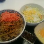 Yoshinoya - 牛丼・生野菜サラダ・玉子の合計540円（税込）で頼んでみました