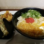 讃岐うどん大使 東京麺通団 - めんたま大盛とちくわ天、とり天