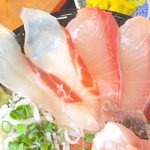 鯛&ハマチ アップ