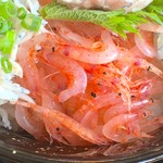 大間新栄丸 - 生桜えび アップ