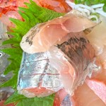 大間新栄丸 - アジの刺身 アップ