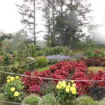 ホテルバーモラル軽井沢 - 風のガーデン