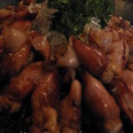 オウレット - ホタルイカ