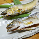 やまめ庵 - 鮎と山女魚食べ比べ