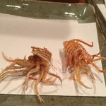 天冨良 よこ田 - 