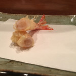 天冨良 よこ田 - 